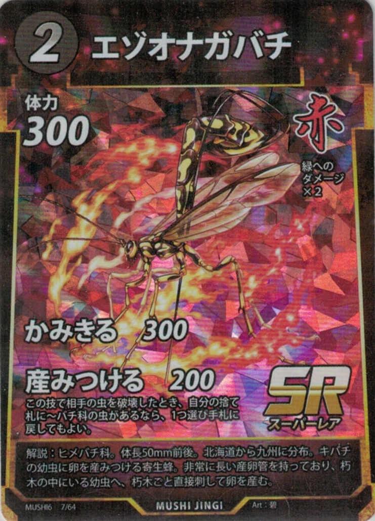 MUSHI6-7　エゾオナガバチ　SR
