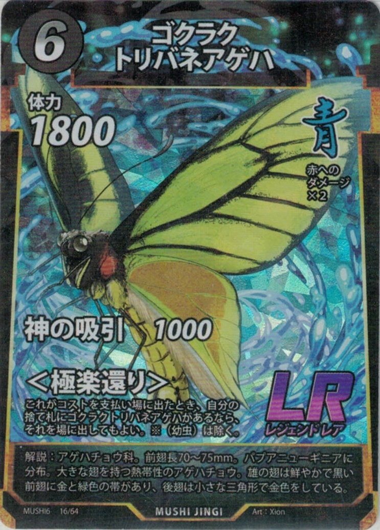MUSHI6-16　ゴクラクトリバネアゲハ　LR