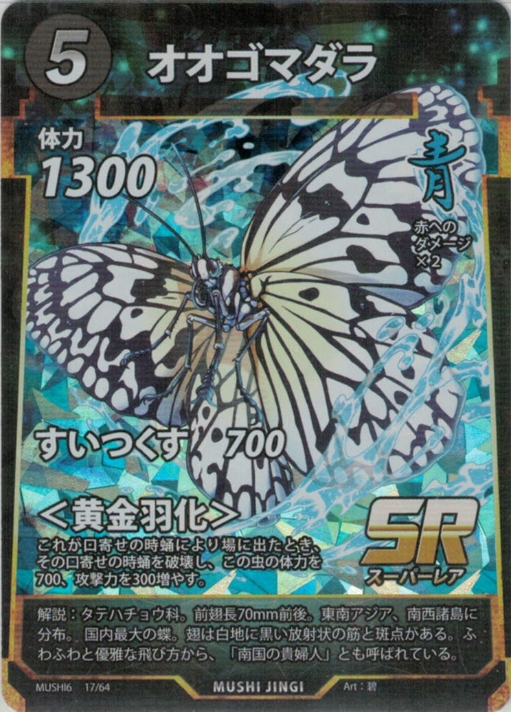 MUSHI6-17　オオゴマダラ　SR