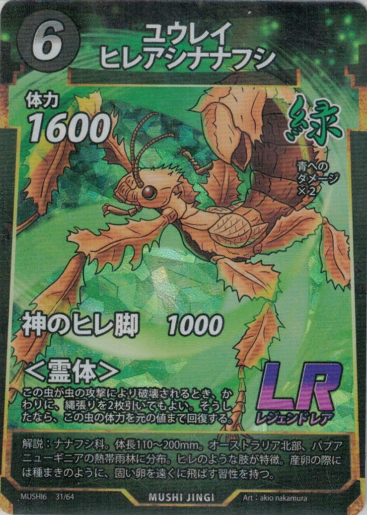 MUSHI6-31　ユウレイヒレアシナナフシ　LR