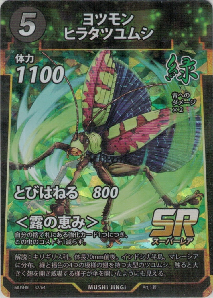 MUSHI6-32　ヨツモンヒラタツユムシ　SR