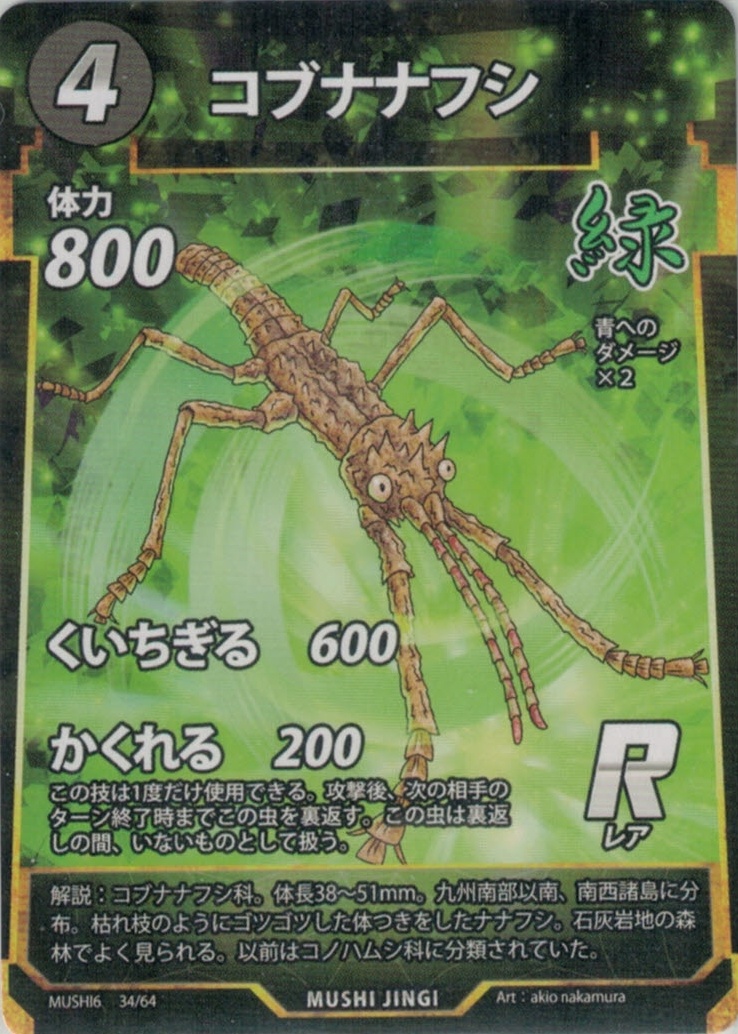 MUSHI6-034　コブナナフシ　R