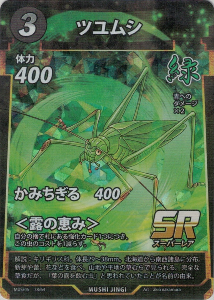 MUSHI6-38　ツユムシ　SR