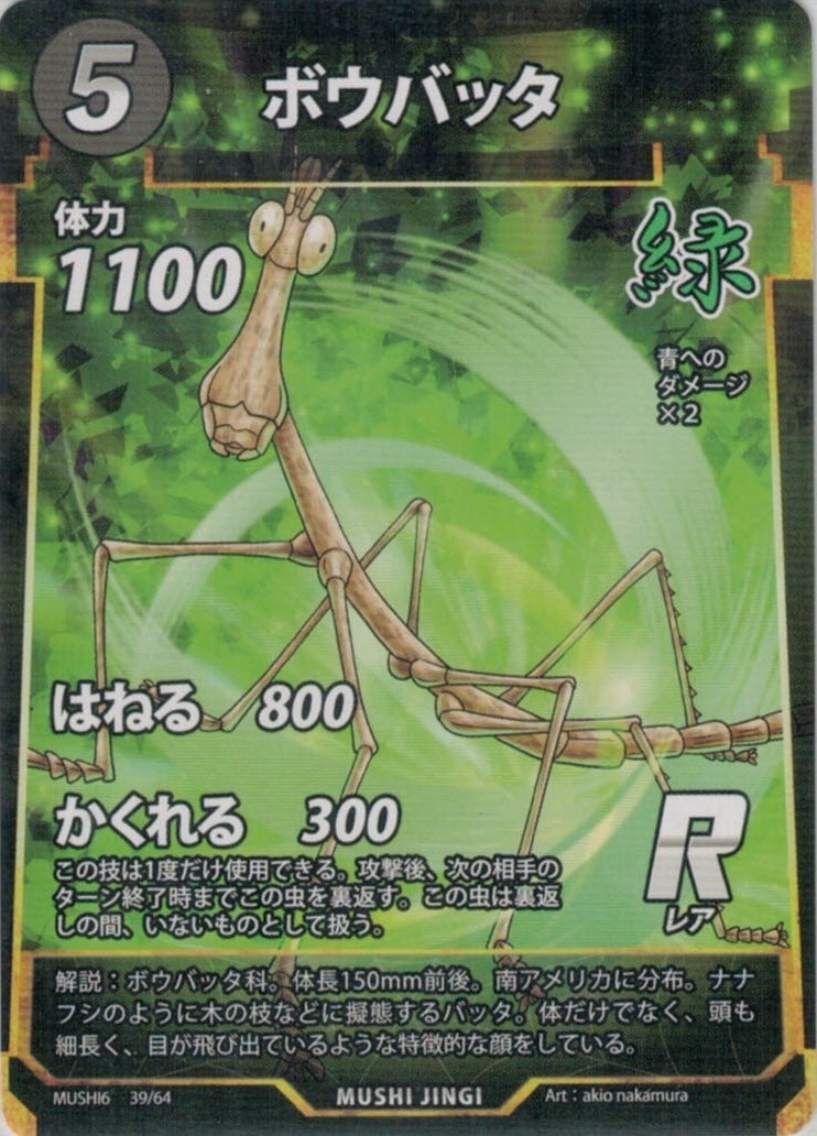MUSHI6-039　ボウバッタ　R