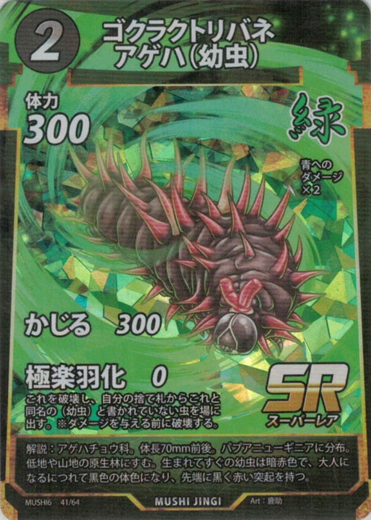 MUSHI6-41　ゴクラクトリバネアゲハ(幼虫)　SR