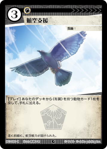 BP3-080　C　航空支援