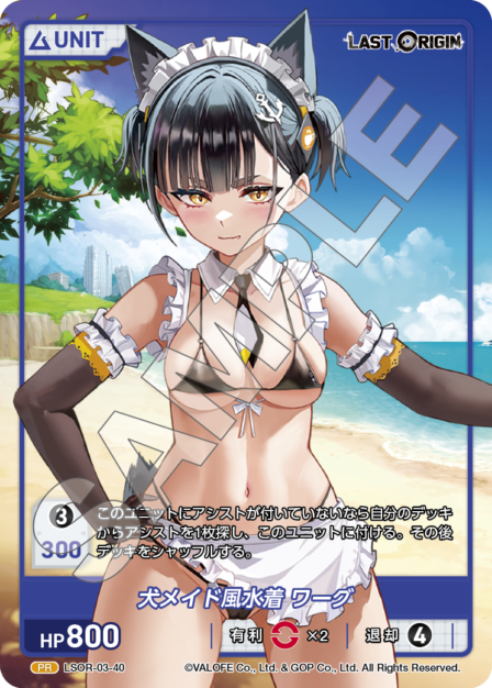 LSOR-03-40　PR　犬メイド風水着　ワーグ