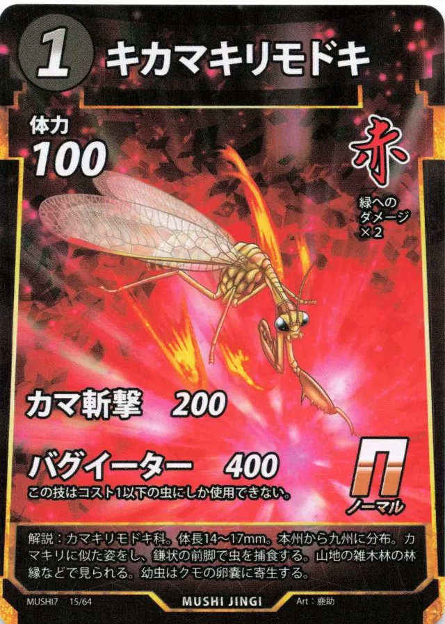 MUSHI7-015　キカマキリモドキ　N