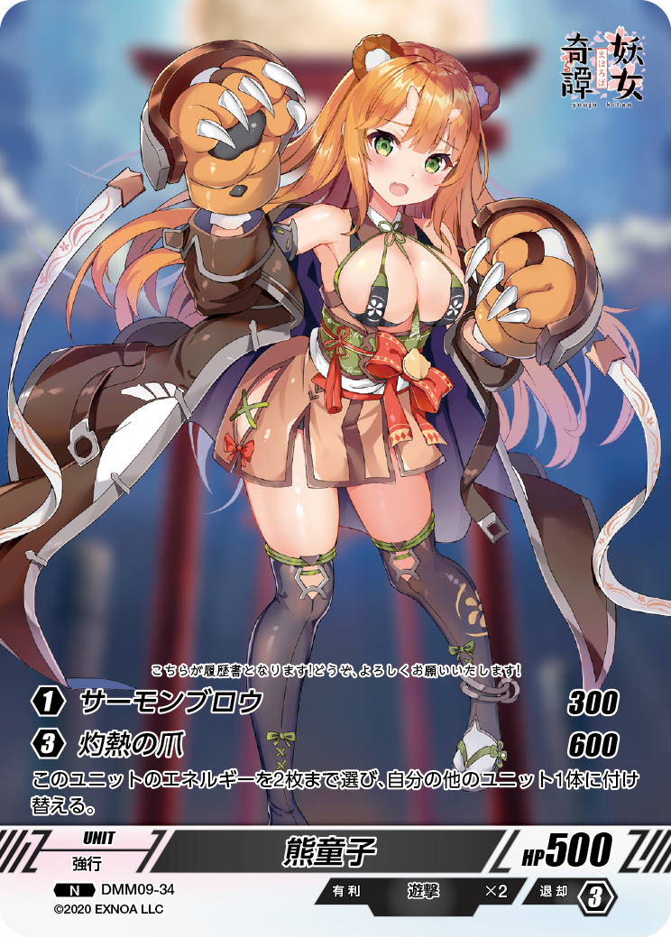 DMM09-34 N 熊童子