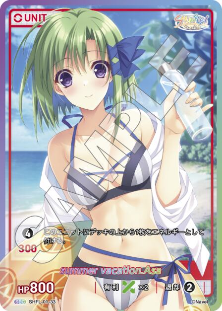 SHFL-01-33 SEC summer vacation.Asa (partner)