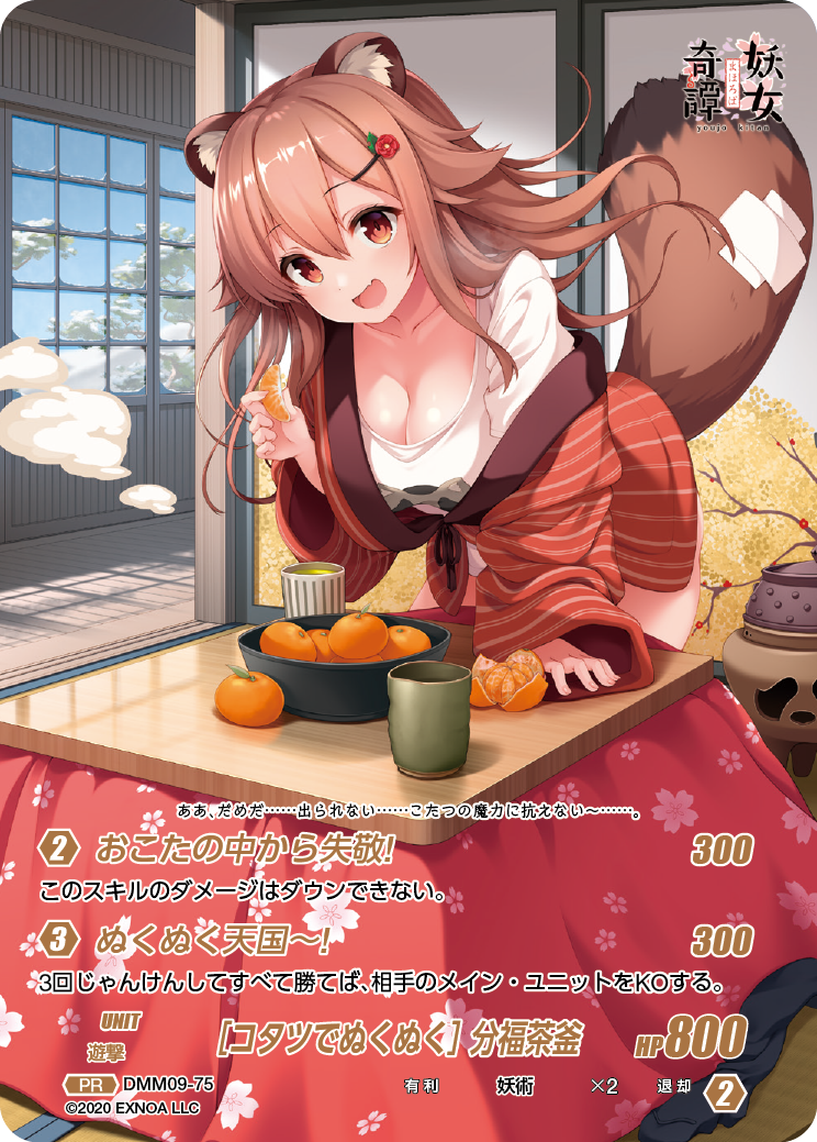 DMM09-75 PR [コタツでぬくぬく]分福茶釜