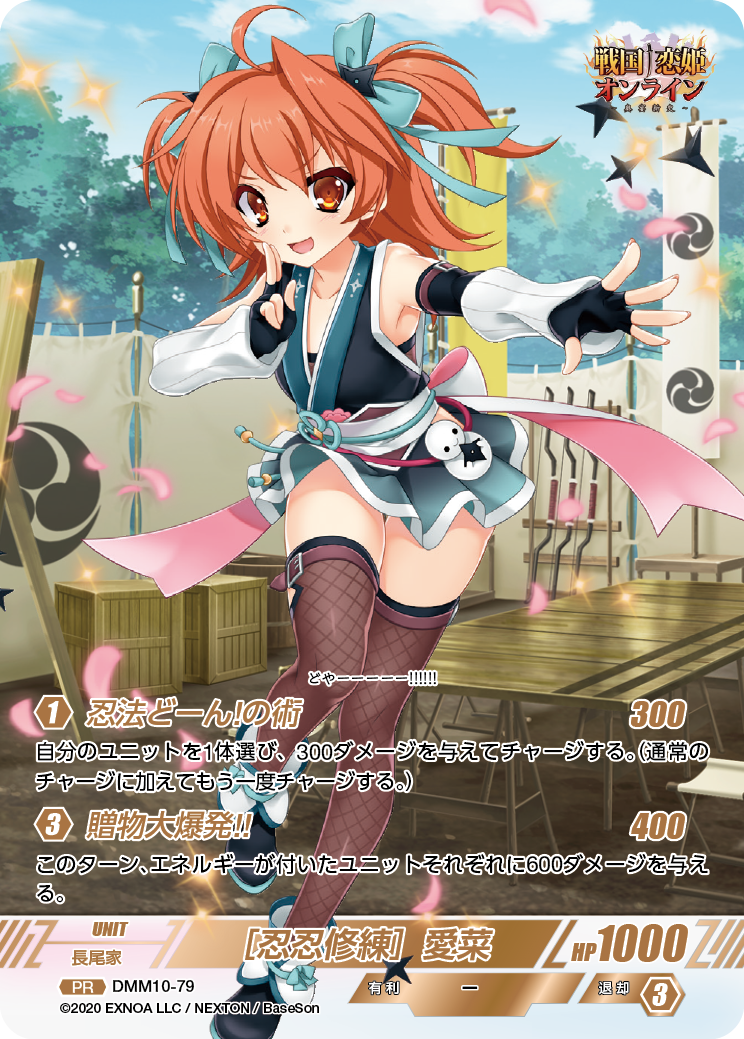 DMM10-79 PR［忍忍修練］愛菜