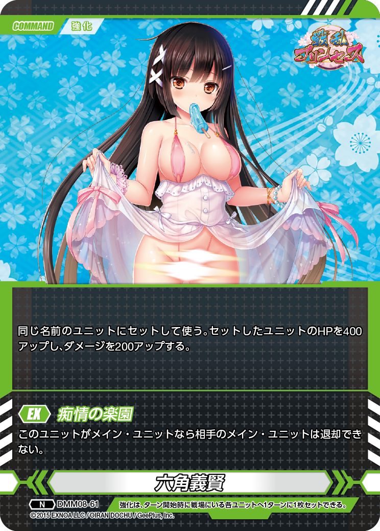 DMM08-61 N 六角義賢