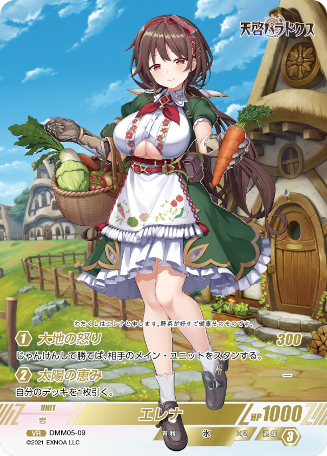 DMM05-09 VR エレナ