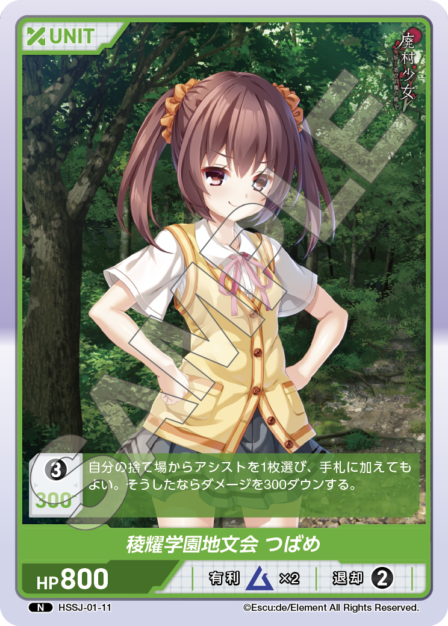 HSSJ-01-11 N 稜耀学園地文会 つばめ