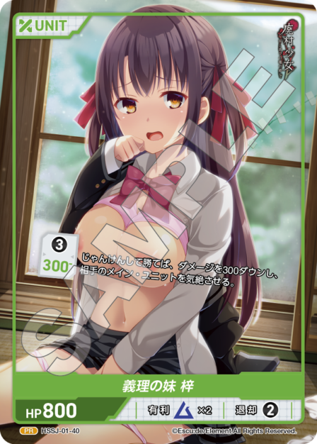 HSSJ-01-40 PR 義理の妹 梓