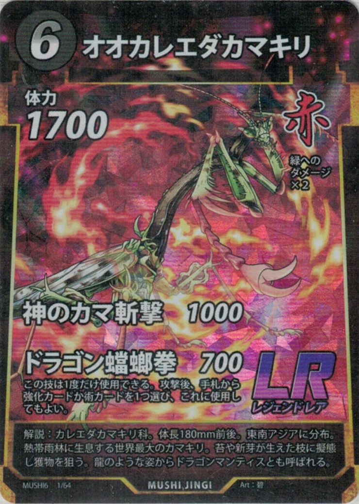 MUSHI6-1　オオカレエダカマキリ　LR
