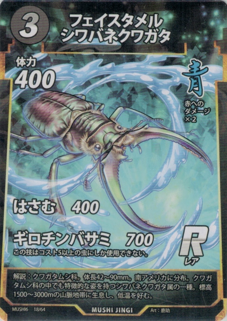 MUSHI6-018　フェイスタメルシワバネクワガタ　R
