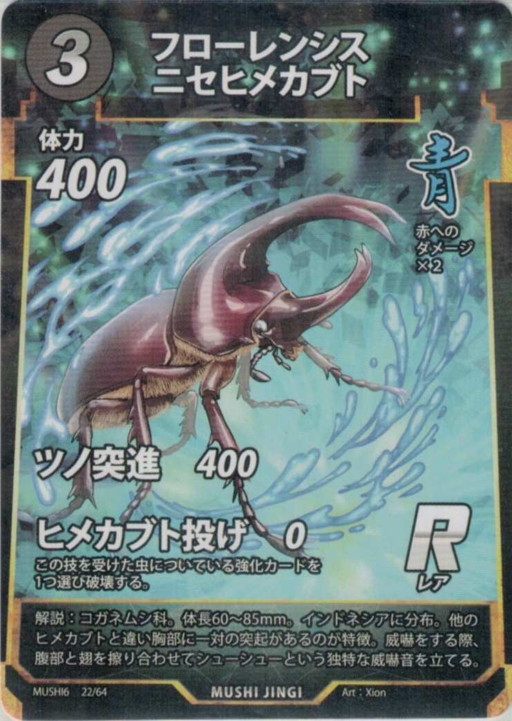 MUSHI6-022　フローレンシスニセヒメカブト　R