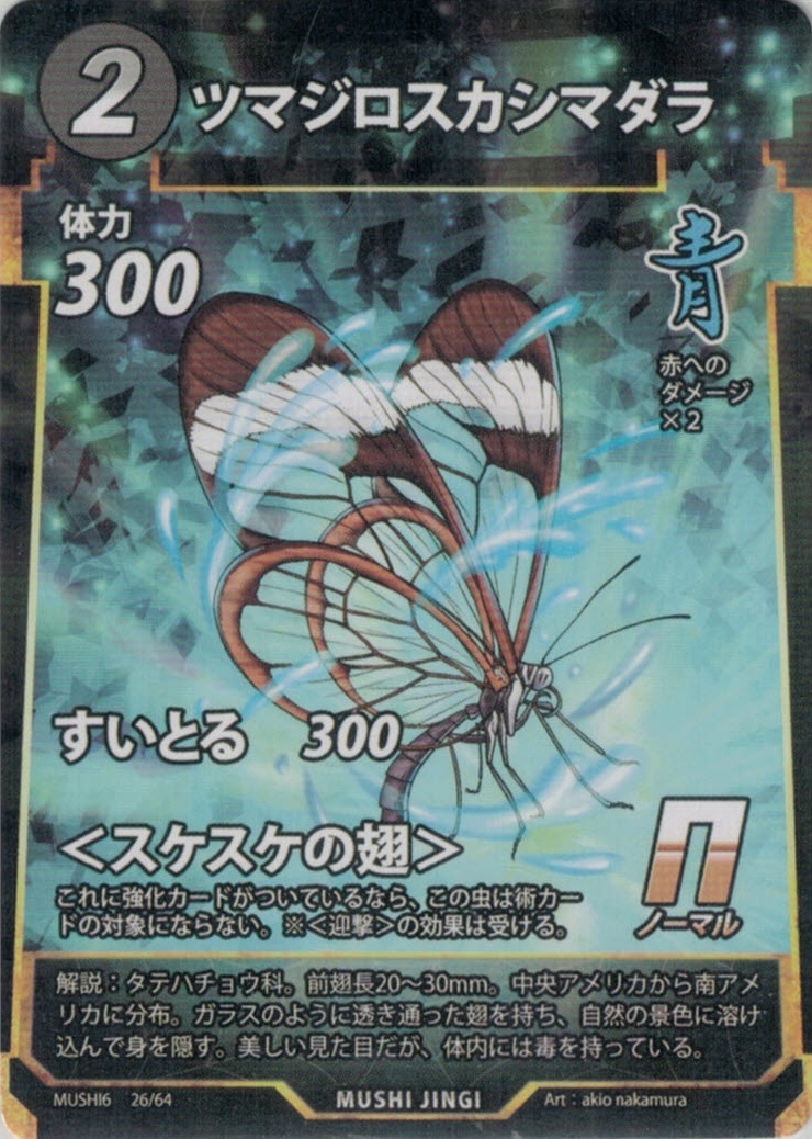 MUSHI6-026　シマジロスカシマダラ　N