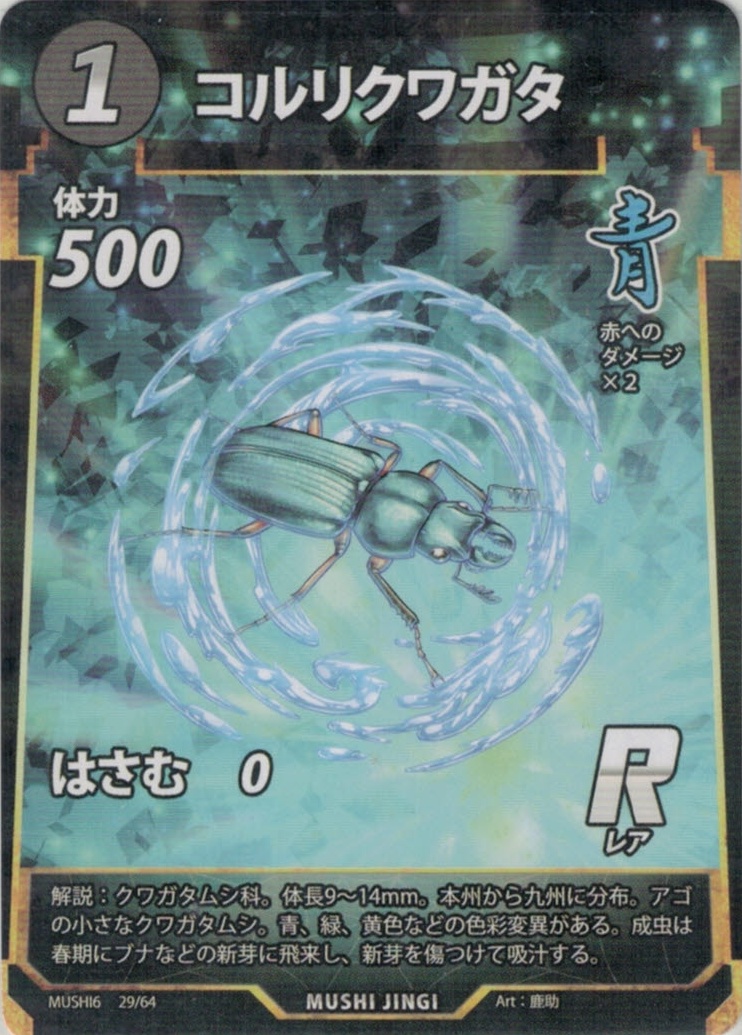 MUSHI6-029　コルリクワガタ　R