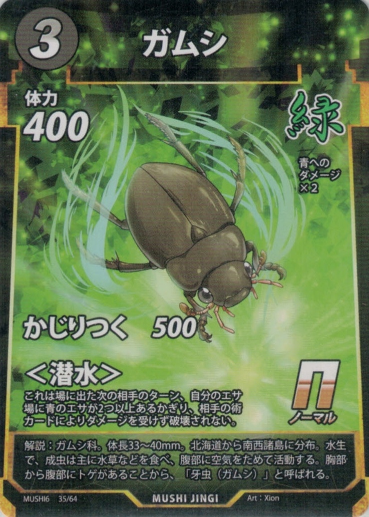 MUSHI6-035　ガムシ　N