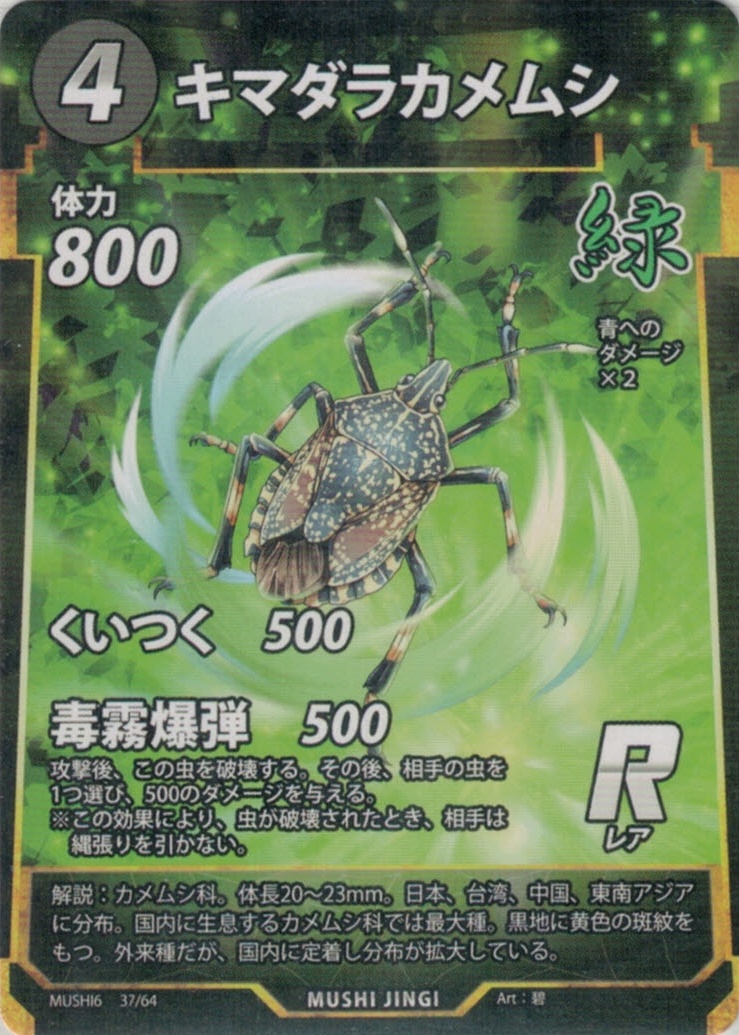 MUSHI6-037　キマダラカメムシ　R