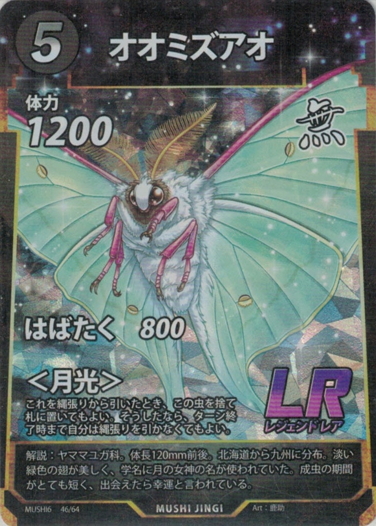 MUSHI6-46　オオミズアオ　LR