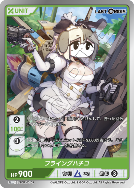 LSOR-03-09　SR　フライングハチコ