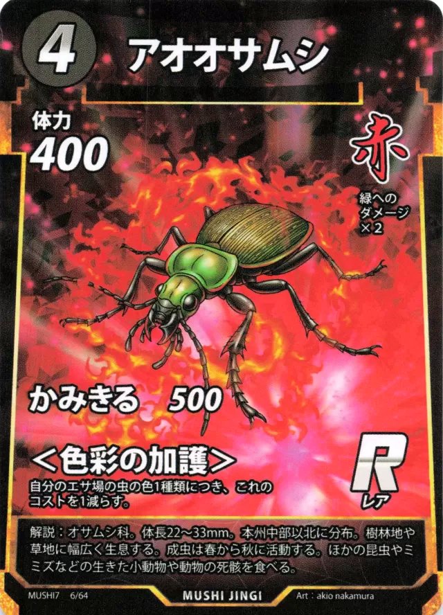 MUSHI7-006　アオオサムシ　R