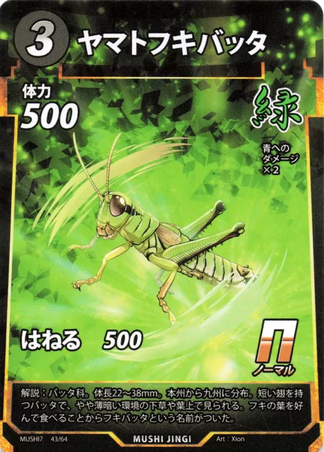 MUSHI7-043　ヤマトフキバッタ　N
