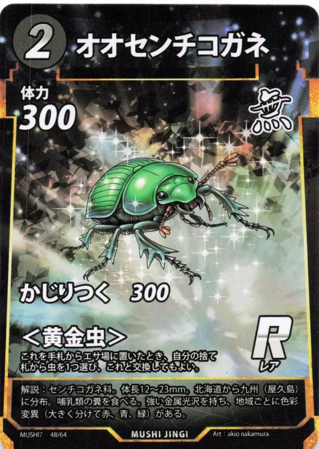 MUSHI7-048　オオセンチコガネ　R