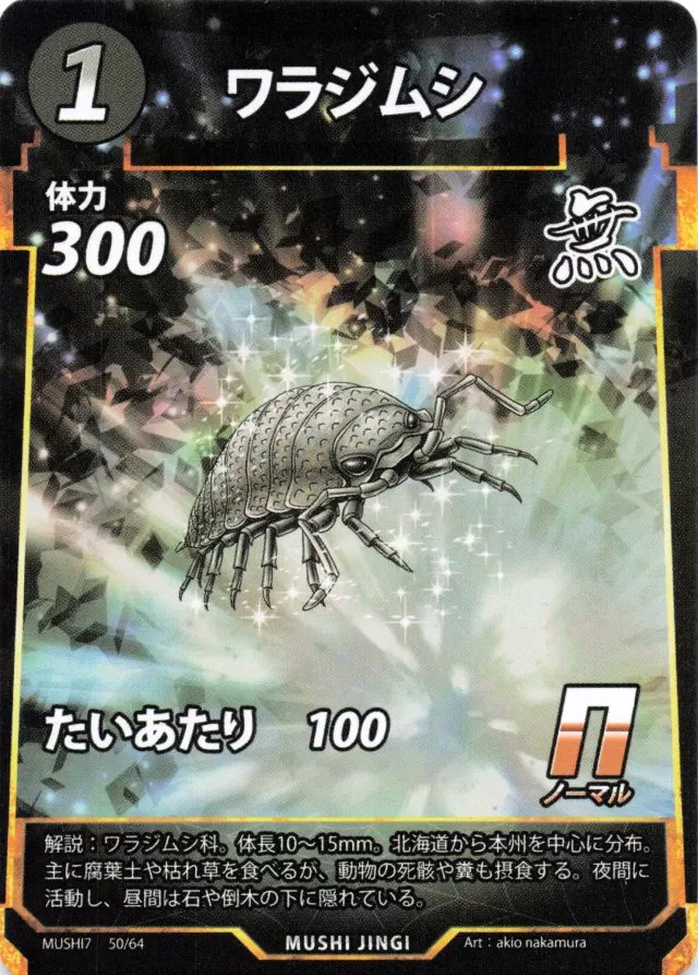 MUSHI7-050　ワラジムシ　N
