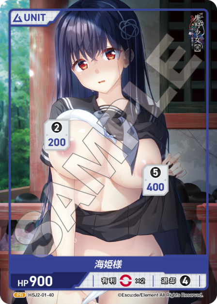 HSJ2-01-40　PR　海姫様