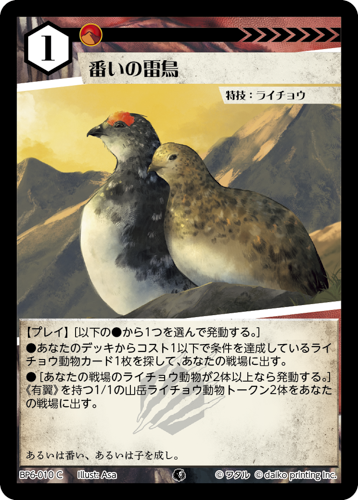 BP6-010 C 番いの雷鳥