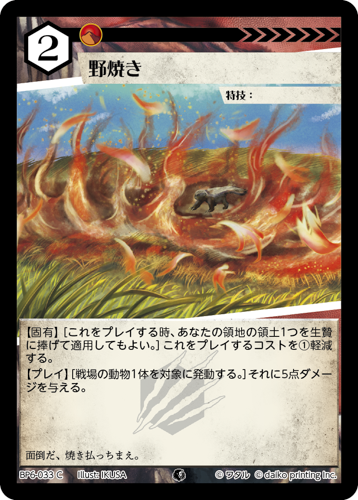 BP6-033 C 野焼き フォイル